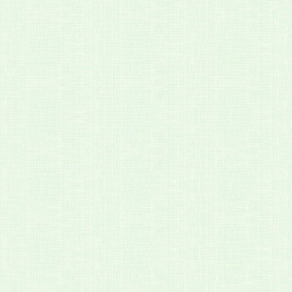 A plain light green wallpaper with a textured pattern.