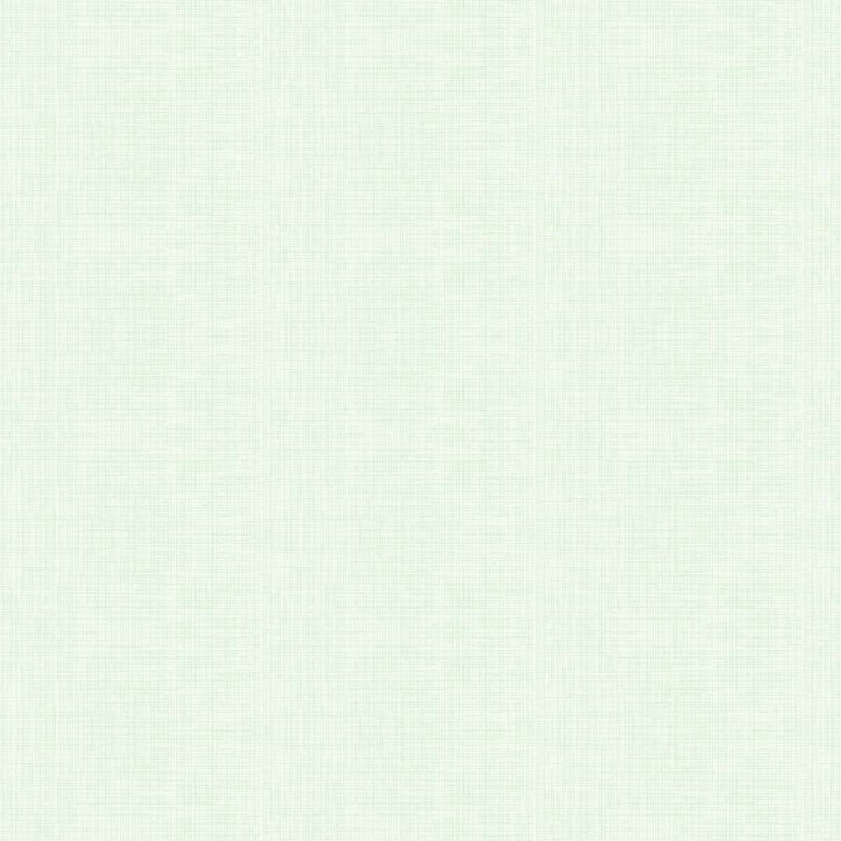 A plain light green wallpaper with a textured pattern.