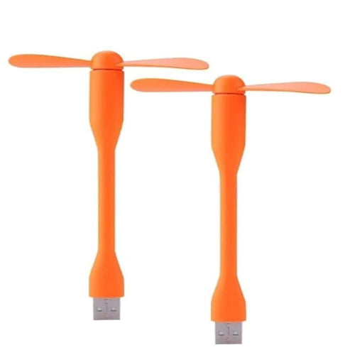 Portable Mini USB Dragon Fan with 2 Leaf & 1 Poratble LED Mini Light