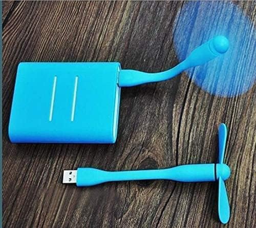 Portable Mini USB Dragon Fan with 2 Leaf & 1 Poratble LED Mini Light