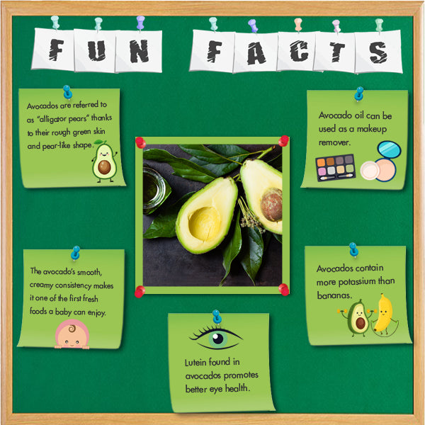 Avocado Oil Cold pressed 100 ml