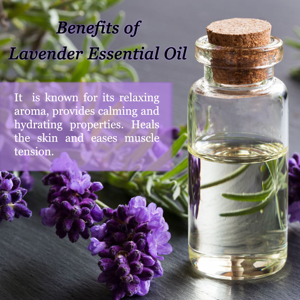 French Lavender Body and Hand Cream 145ml