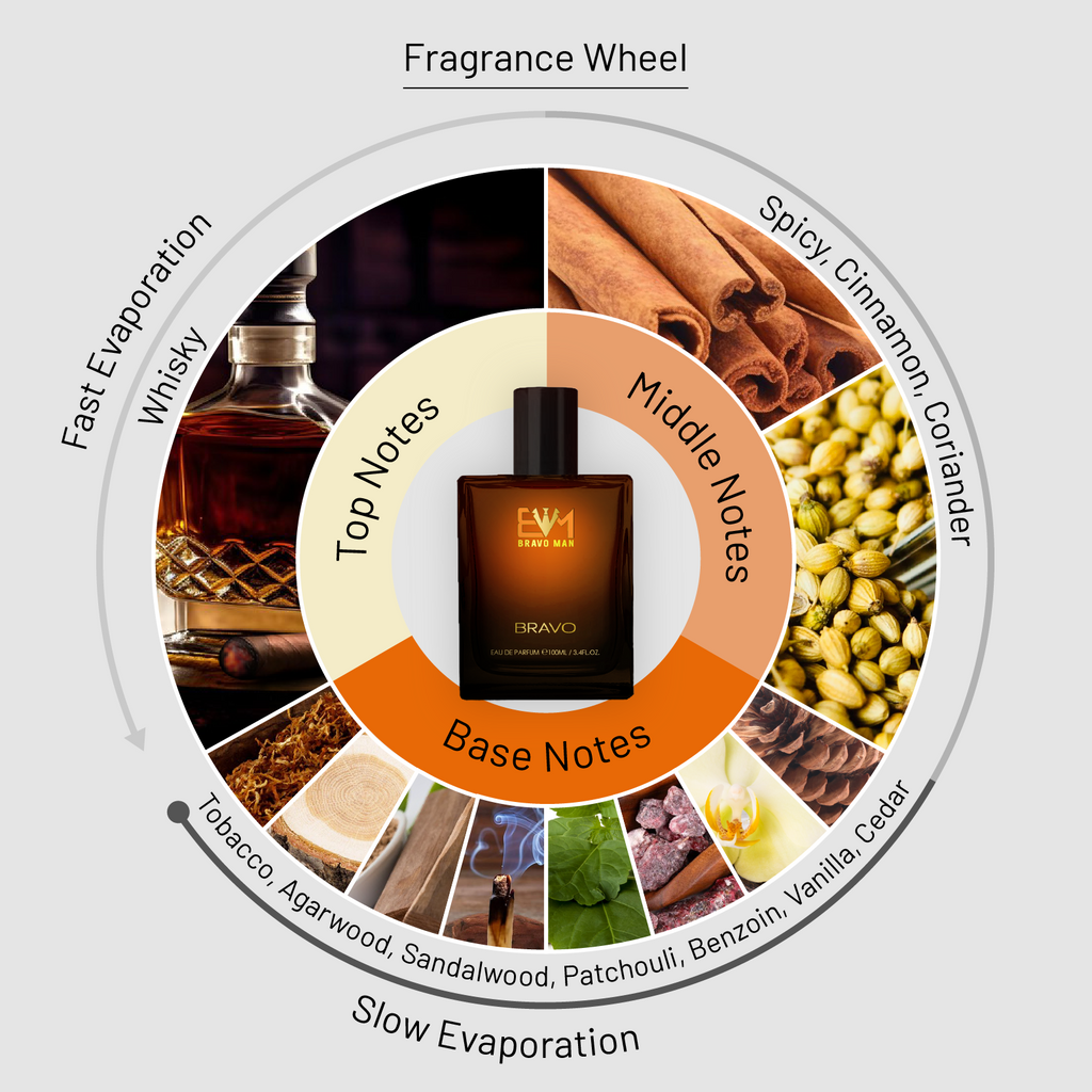 The BRAVOMAN - BRAVO Best Long Lasting Perfumes Online in India for Men