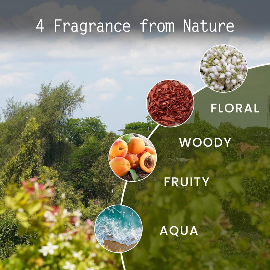Diagram of four fragrance types with natural elements and a scenic background