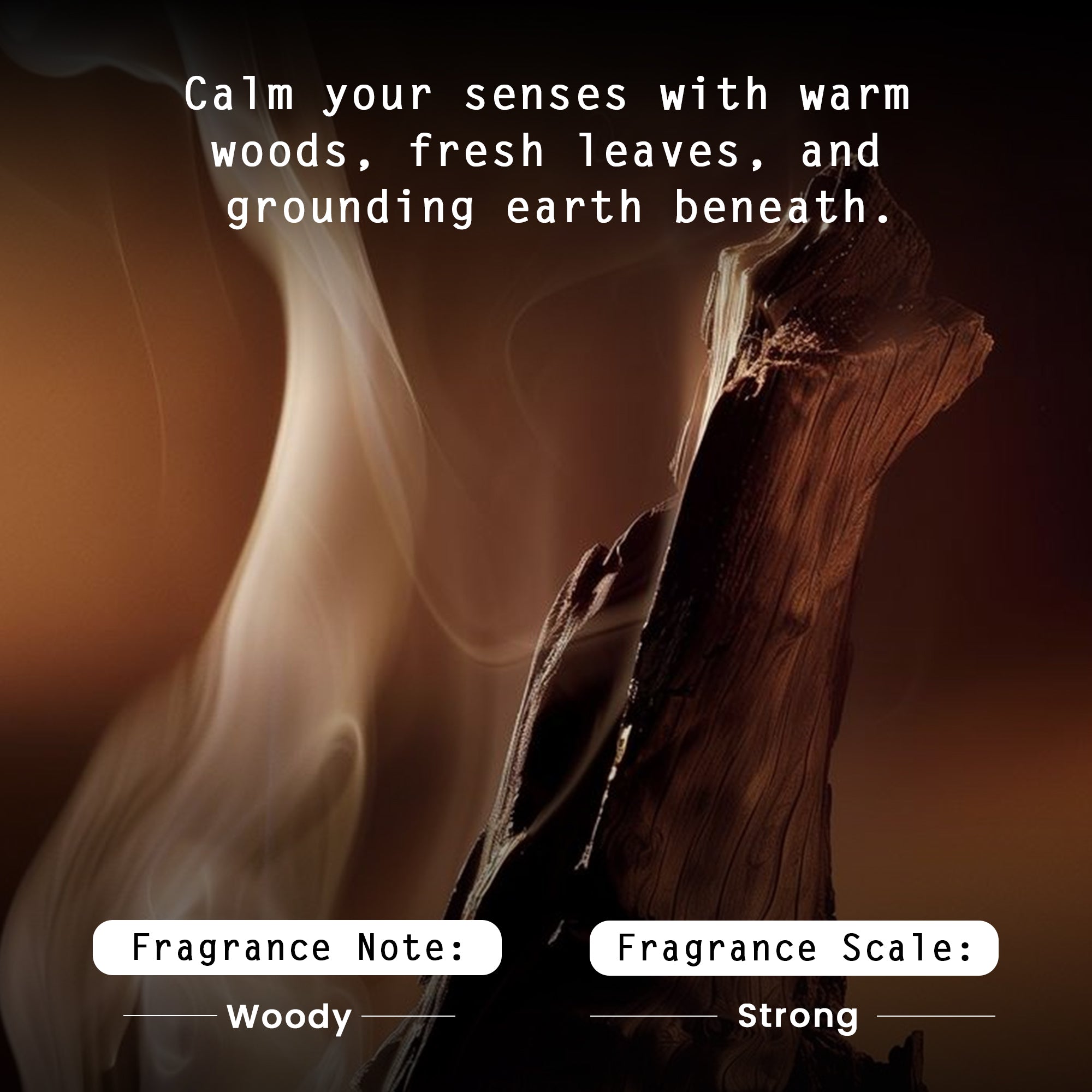 In the Woods Gift Box